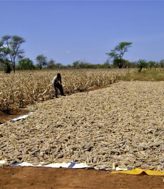 Climate Action And Natural Resource Management