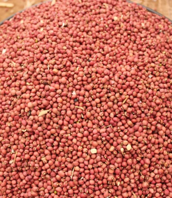 Food And Nutritional Security