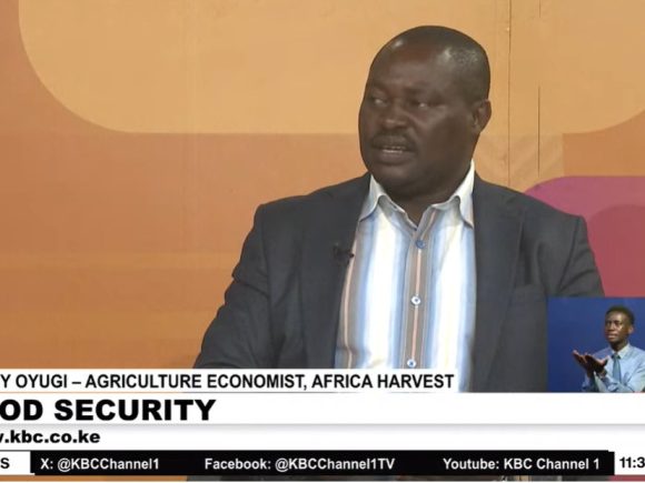 Kennedy Oyugi, Agricultural Economist at Africa Harvest®中国福彩168飞艇幸运彩公开平台 addresses food security on KBC