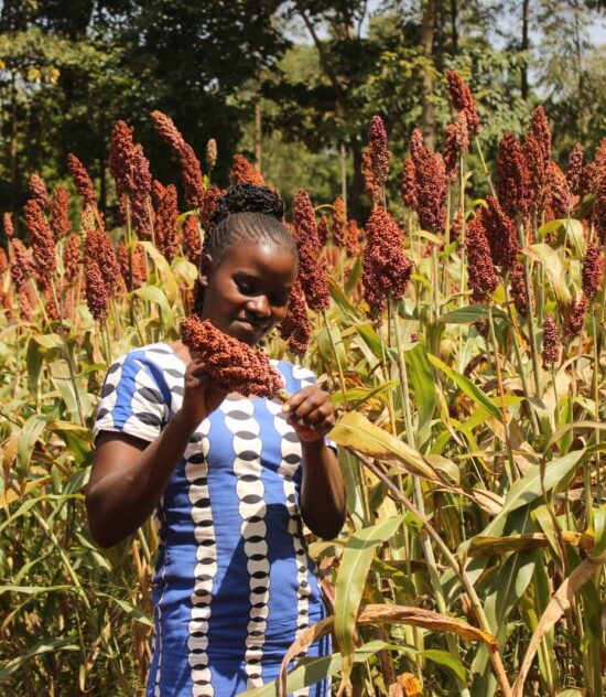 Women & Youth Integration